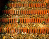 Steps: fine art photograph print of orange brick architecture with leaves