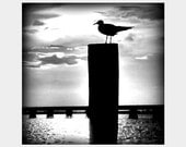 Seagull Silhouette: a square fine art photograph of a bird perched on a piling with bridge, clouds, and water in the background