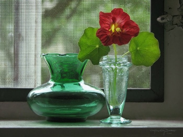 Summer Evening - Photo Art Print 8x10