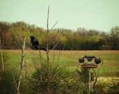 It's For You - Messages From Nature 8x10 Print