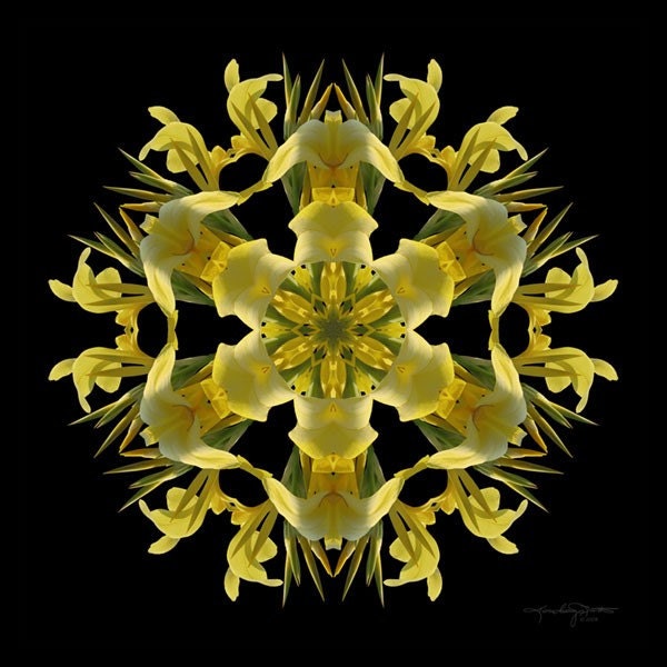 Flower Mandala Spiritual Energy Meditation Art - Hidden Treasures