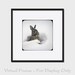 Snow Bunny - Snowflakes on Rabbit Square Photo Print