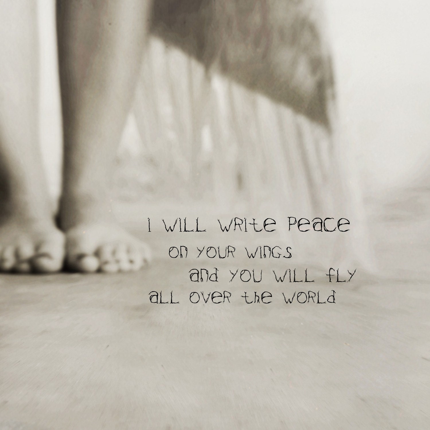 fly five