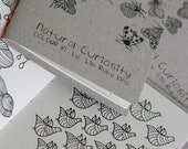 Natural Curiosity - Colouring Book