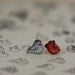 Heart Sparrow - Earring Studs
