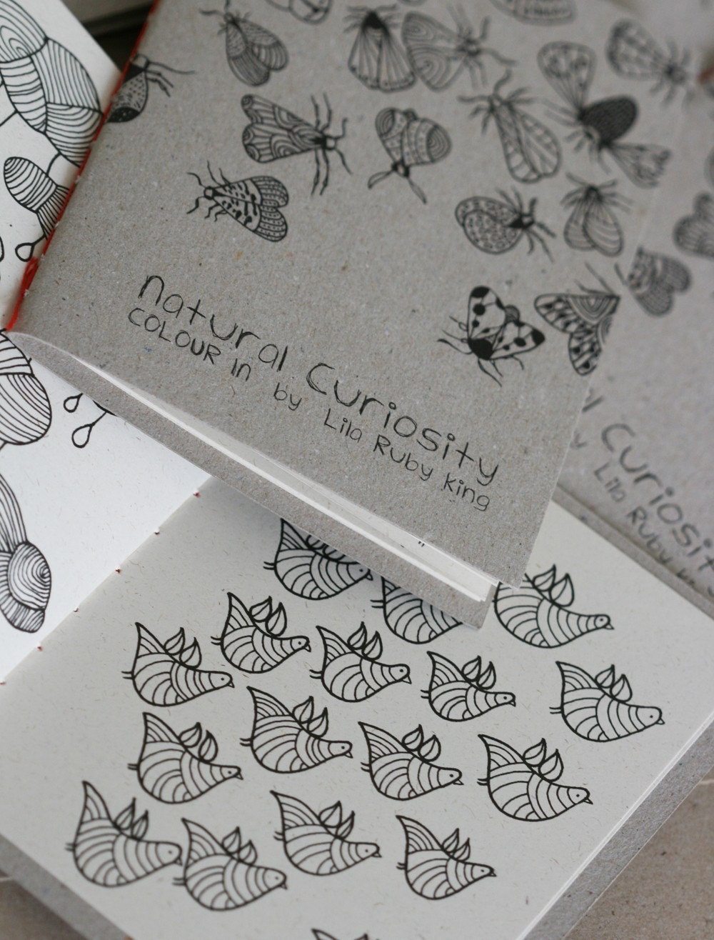Natural Curiosity - Colouring Book
