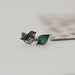 Extinct Birds - Bushwren - Earring Studs