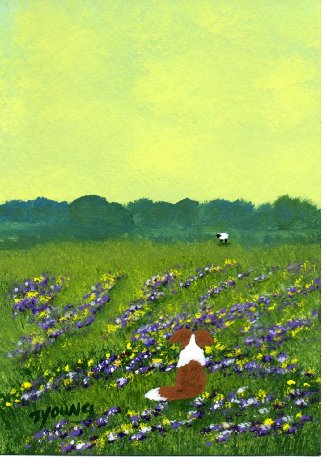 Red Sheltie Border Collie dog folk art PRINT of Todd Young painting Clover Field