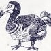 Shrewd Dodo Linocut- Limited Edition