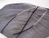 Minimal silver earrings