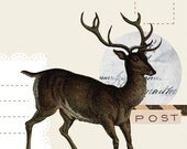 Deer writing set digital pdf downloadable