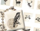 Collections 1x1 inch square digital collage sheet images