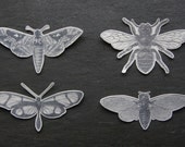4 Bugs: Temporary Tattoos