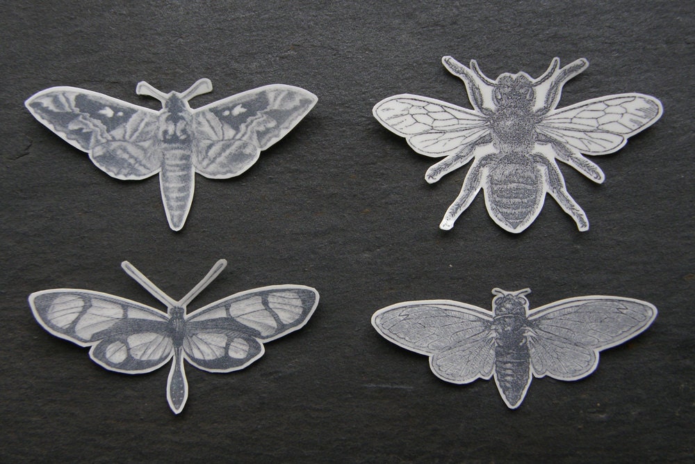 4 Bugs: Temporary Tattoos