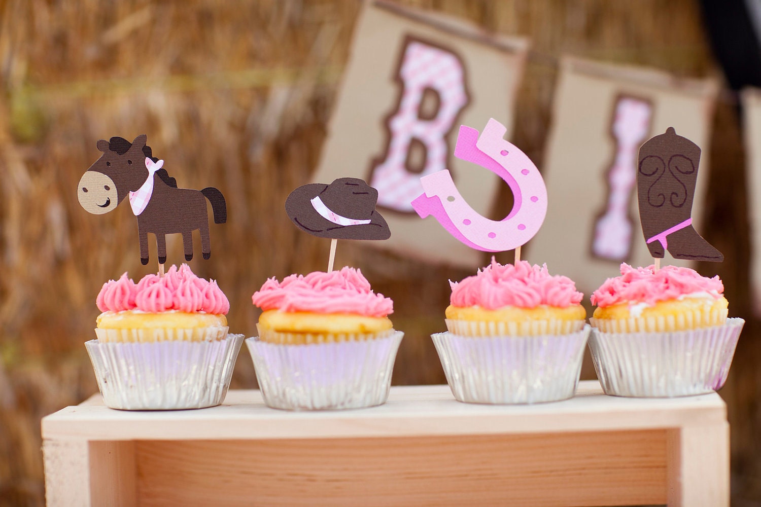 Giddy Up Cowgirl Cupcake toppers Set of 12 - Handmade