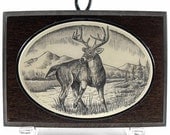 Scrimshaw Plaque with White Tail Deer Buck