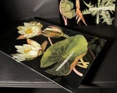 Mid Century Blackboard Botanical Decoupage Glass Tray - Decoupage Plate