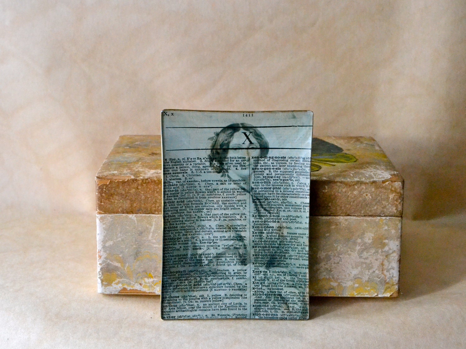 Bibliophile Decoupage Tray - Madame X Dictionary Page black white 19th century portrait aged paper