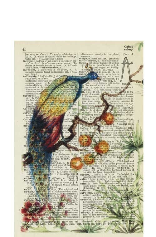 ancient peacock, reproduction printed on 75 year old page from dictionary