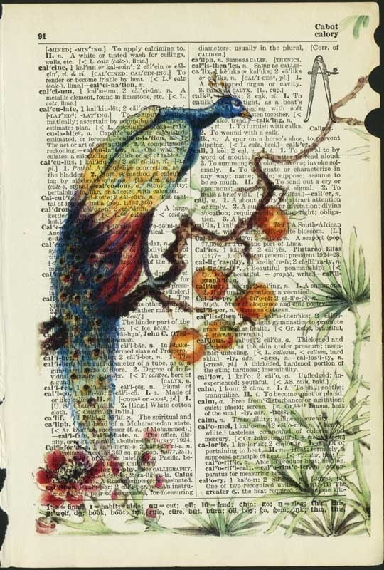 ancient peacock, reproduction printed on 75 year old page from dictionary
