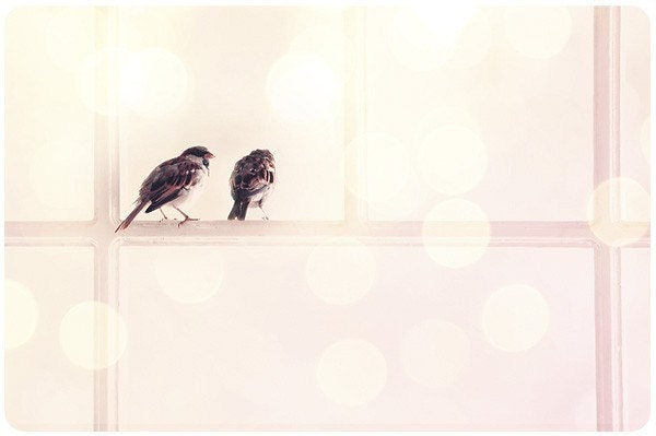 Postcard -Love Birds-