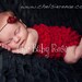 The Original Newborn Petti Romper in 21 Colors by Chic Baby Rose Great Photo Prop