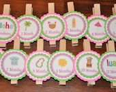 Luau Photo Clips. Tiki Party.Luau. Photo Clips.Beach.  Picture Banner. Set of 13. Newborn. 12 months. First Birthday. Hot Pink. Bright Green