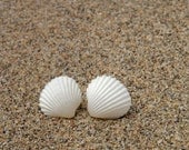 Seashell Earrings - Small Stud Earrings - White Natural Seashells - Summer Fashion - 1001ArtBeads
