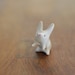 Action Bunny