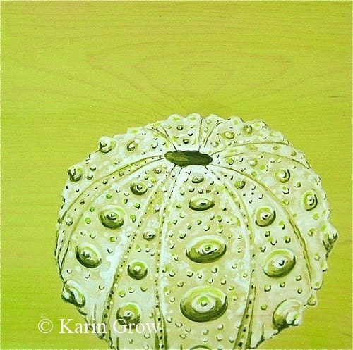 Lime Urchin--8x8