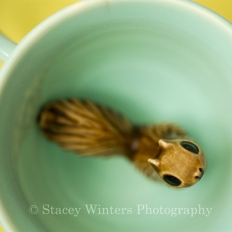 squirrelcup . teacup critter mini-print