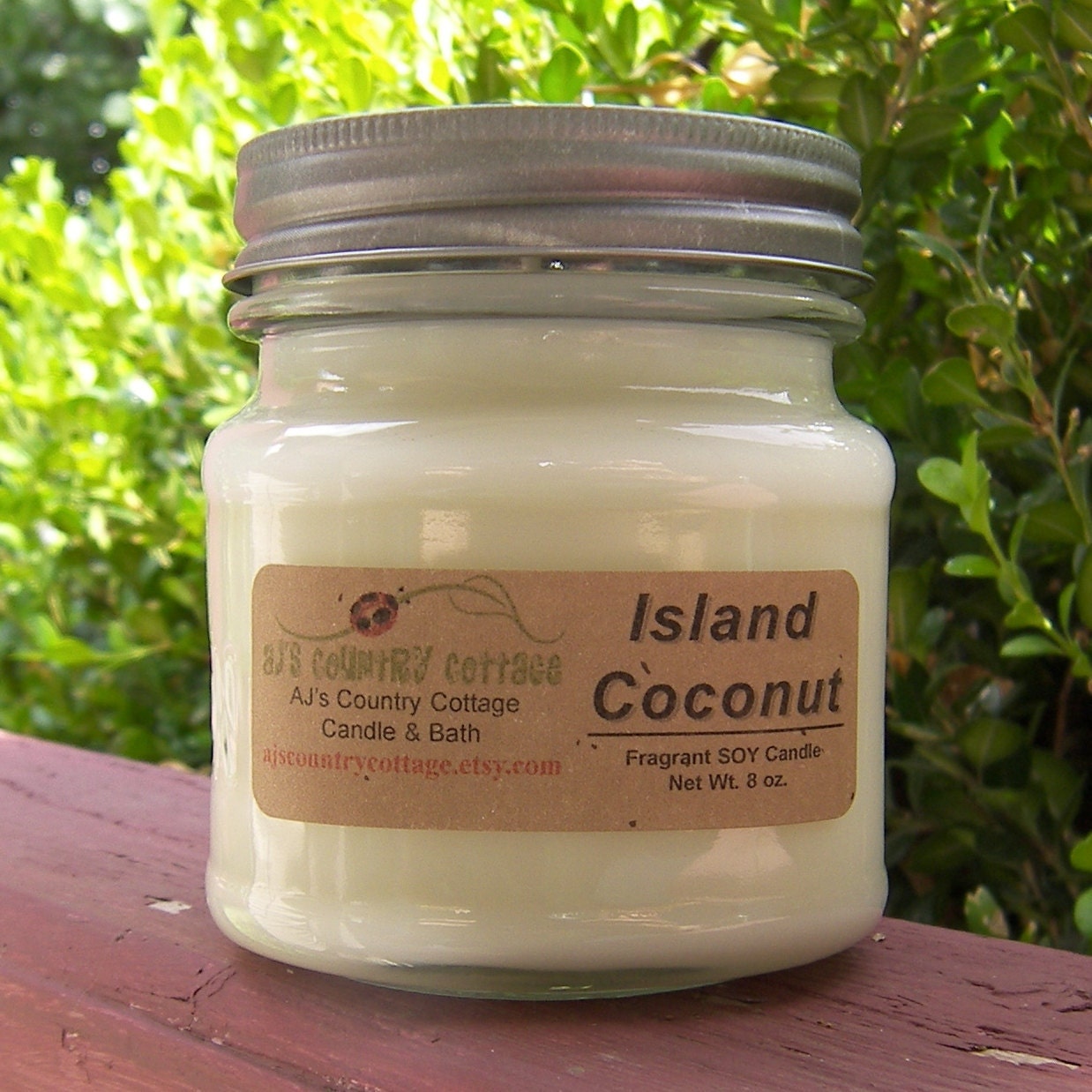 ISLAND COCONUT SOY Candle - Highly Scented