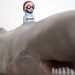 Skoot and the Whale