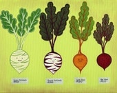Organic Root Vegetables 8x10 digital art print