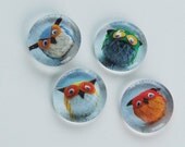 Owl magnets in small clear flat glass marble set 1