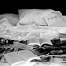 Well Read - Photography Print
