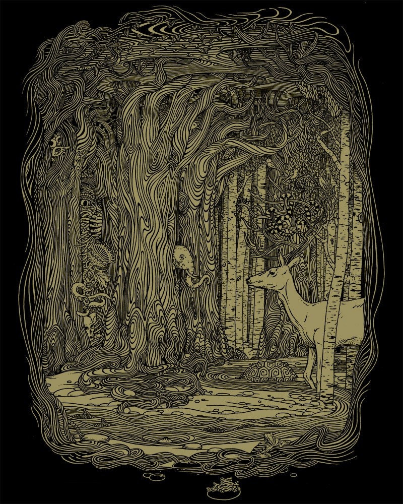 Tangled Forest T-shirt on Black ..... Women's Tee Shirt S M L XL 2XL