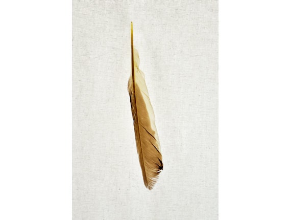 Unique Feather Photo Art Gift from Autumn Collection - Suave - 8x12
