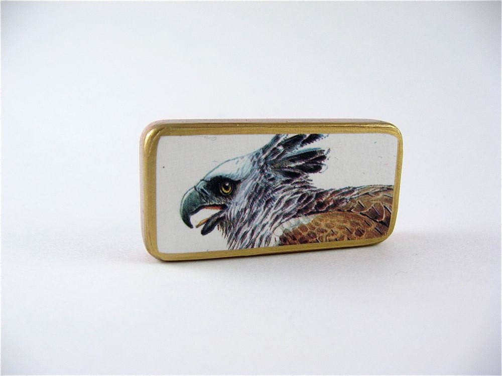 Domino Fridge Magnet / Bird of Prey / Falcon / vintage illustration / ready to ship