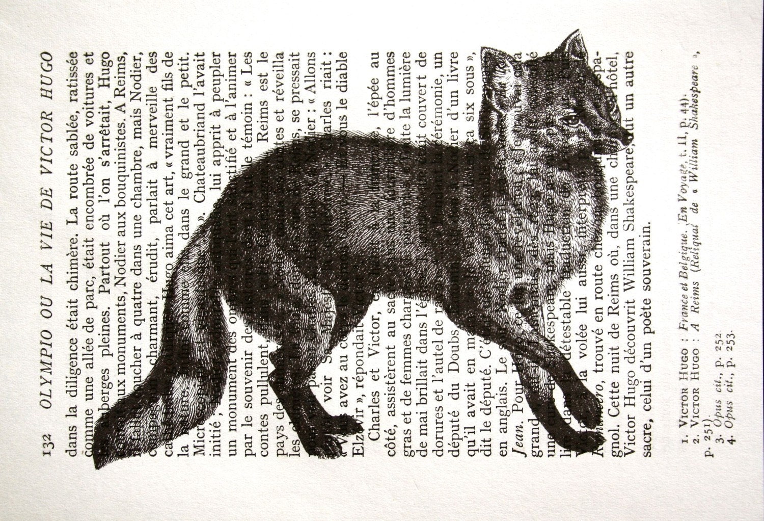 Fox Print on Vintage French Book Page - 5 x 7 Slinky Fox