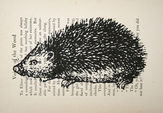 Hedgehog Print on Vintage Book Page - 5 x 7