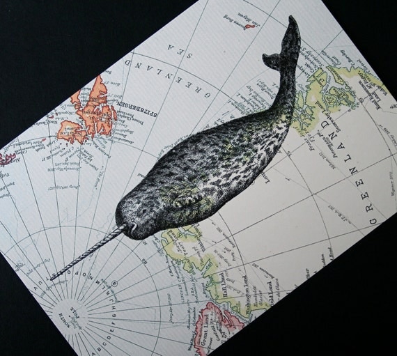 Narwhal Print on Arctic Map - 5 x 7 North Pole and Greenland Narwhal Map Print