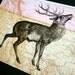 Deer on Vintage Map Montana - 5 x 7