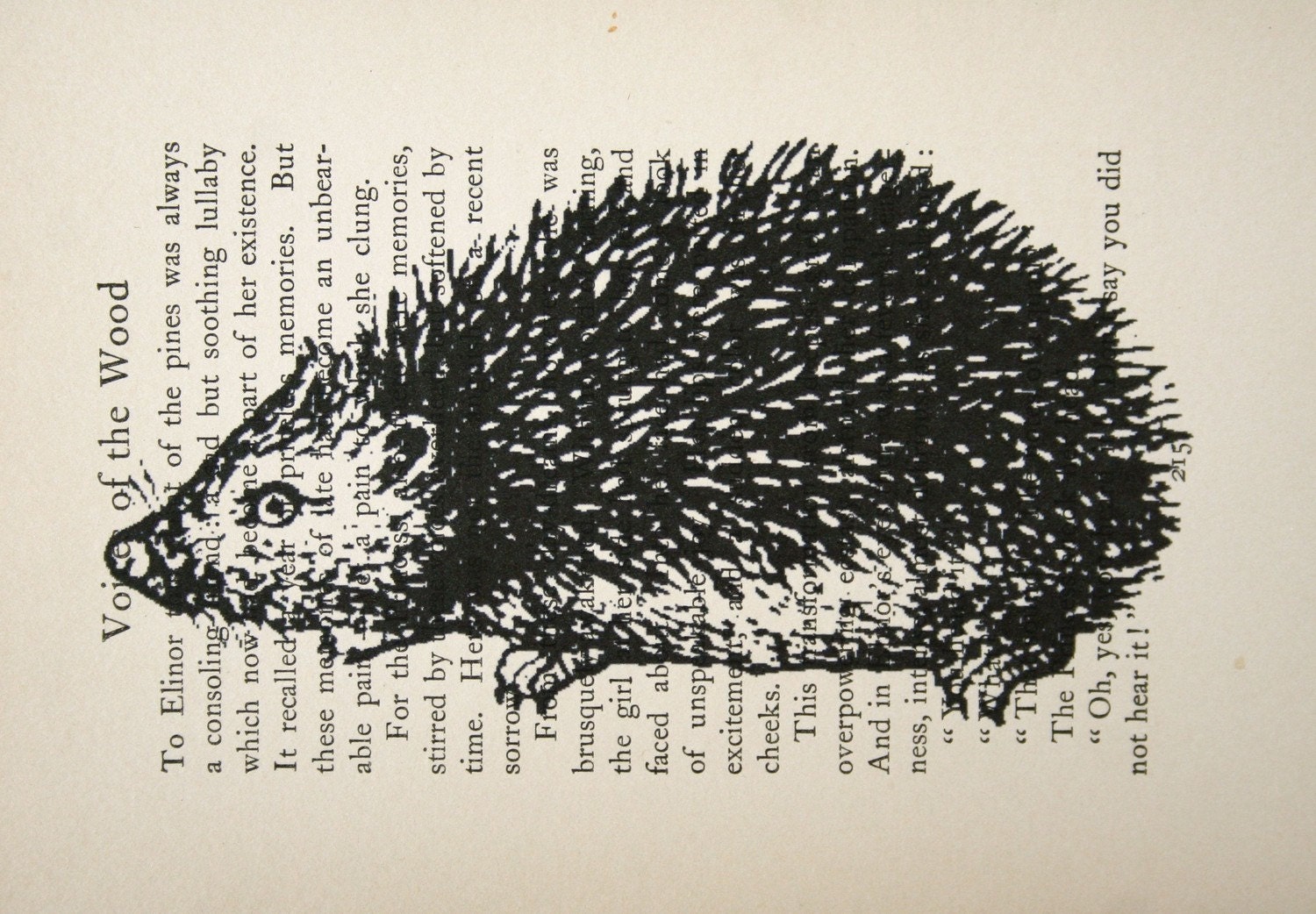 Hedgehog Print on Vintage Book Page - 5 x 7