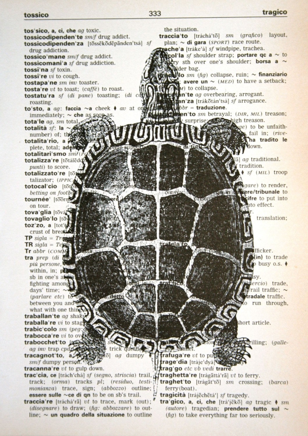 Turtle Print on Italian-English Dictionary Text - 5 x 7