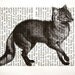 Fox Print on Vintage French Book Page - 5 x 7 Slinky Fox