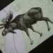 Moose Print on Topographic Map Quebec Canada - 5 x 7