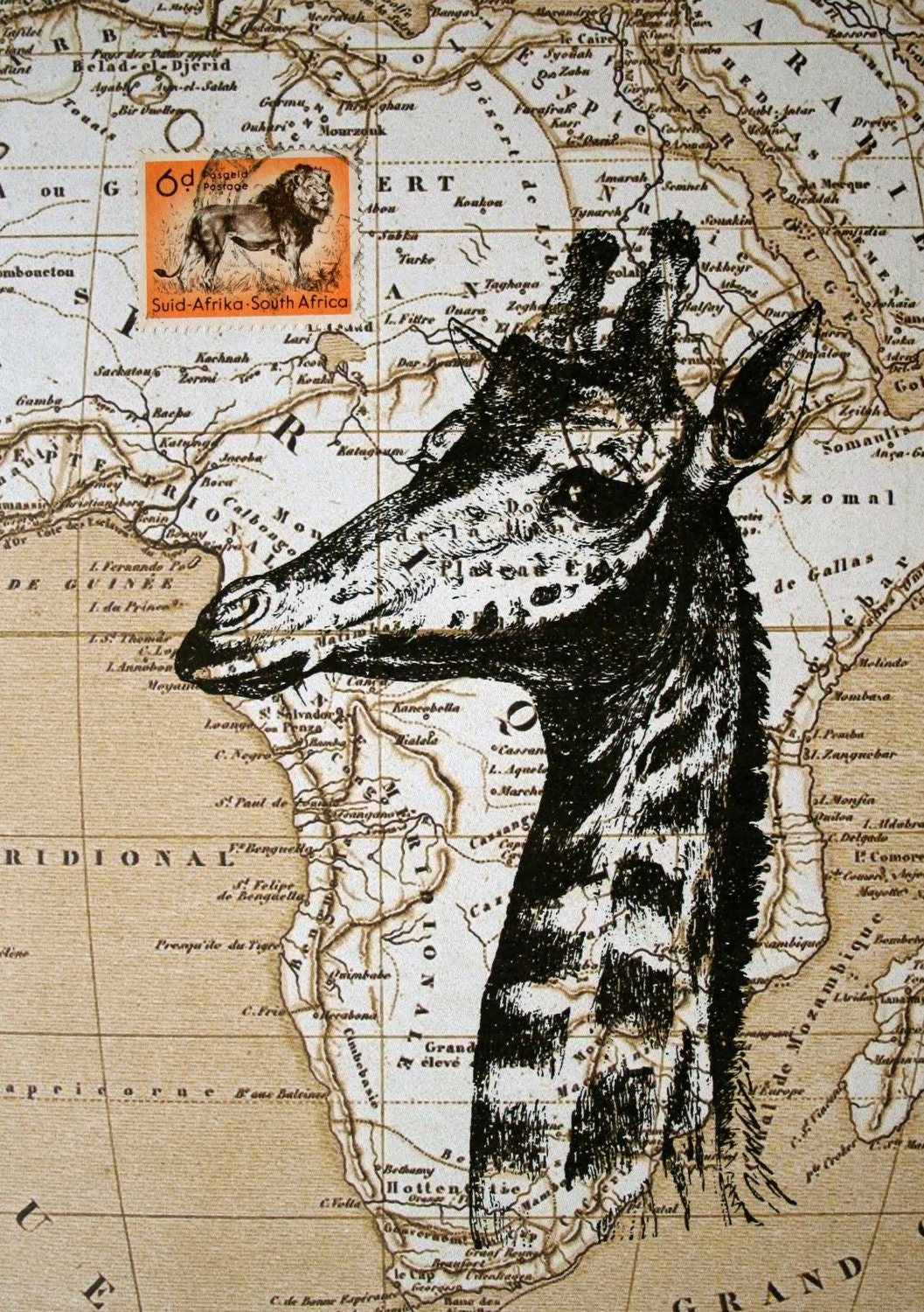 Giraffe Print on Map of Africa with Vintage Postage Stamp - 5 x 7 Giraffe Map Print Collage