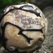 The Raven - Edgar Allan Poe  poetry interchangeable ring top