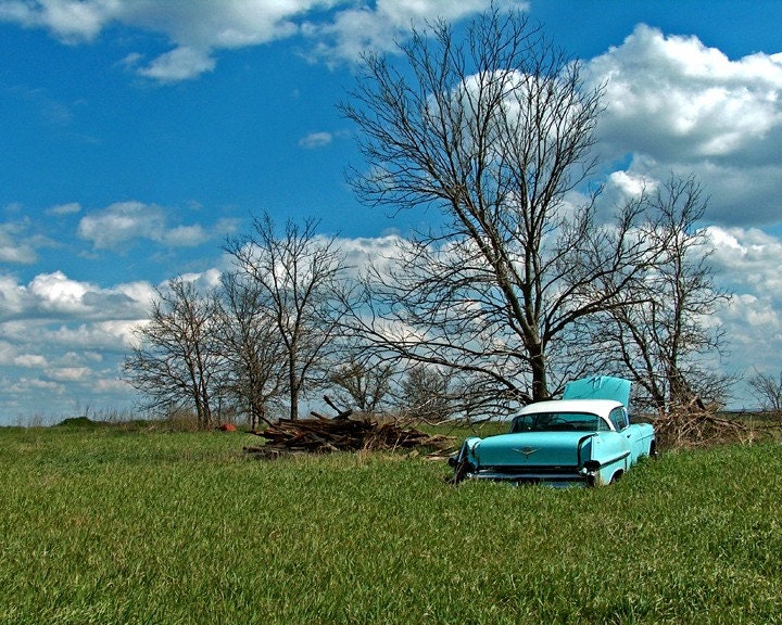 Field